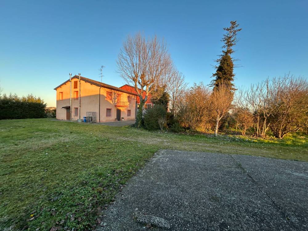immagine annuncio 5 di 13