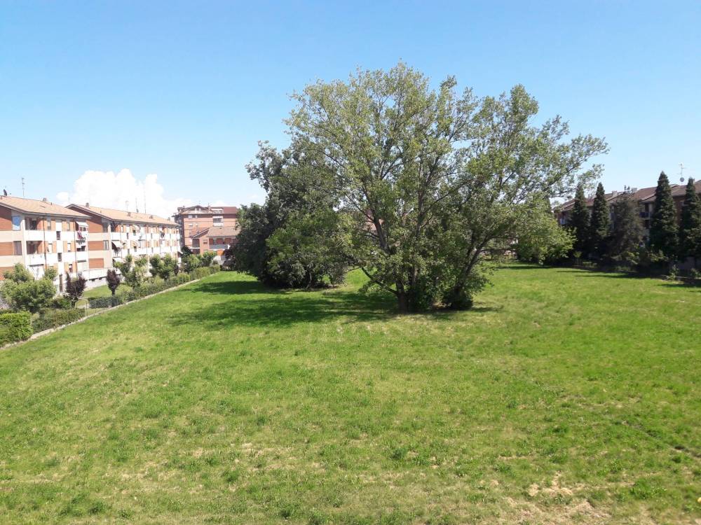 immagine annuncio 7 di 13