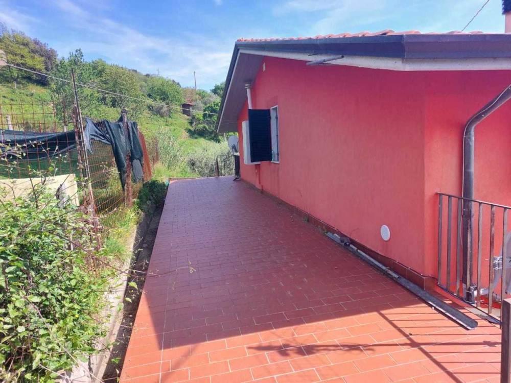 immagine annuncio 1 di 13