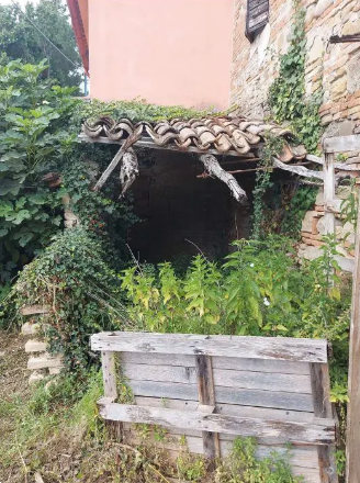 immagine annuncio 2 di 13
