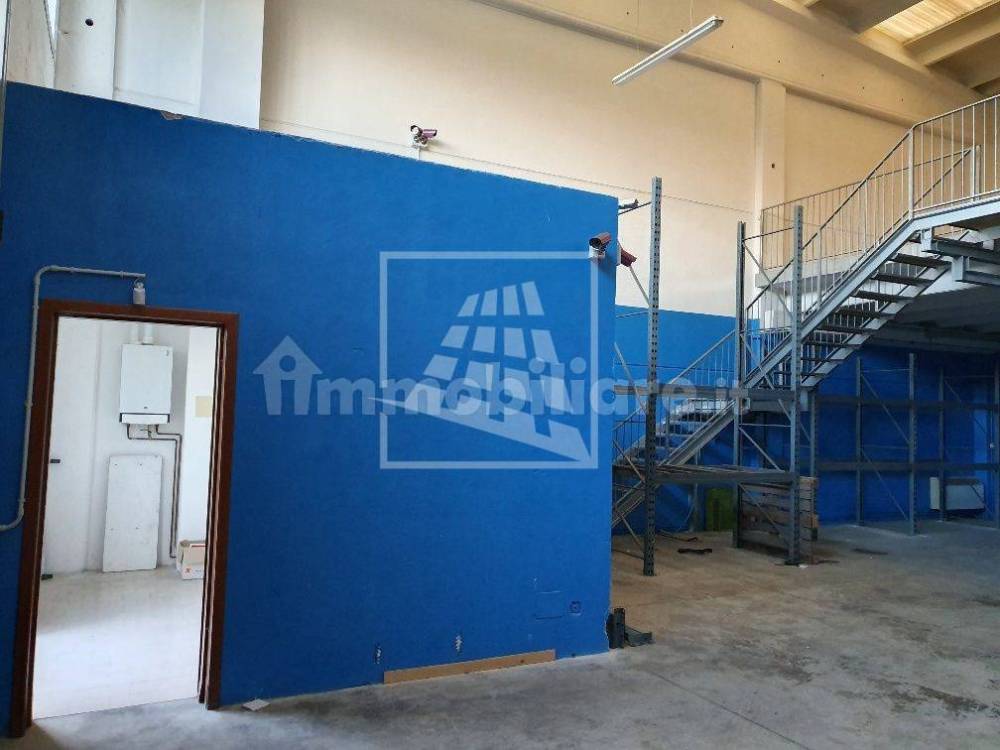 immagine annuncio 8 di 13