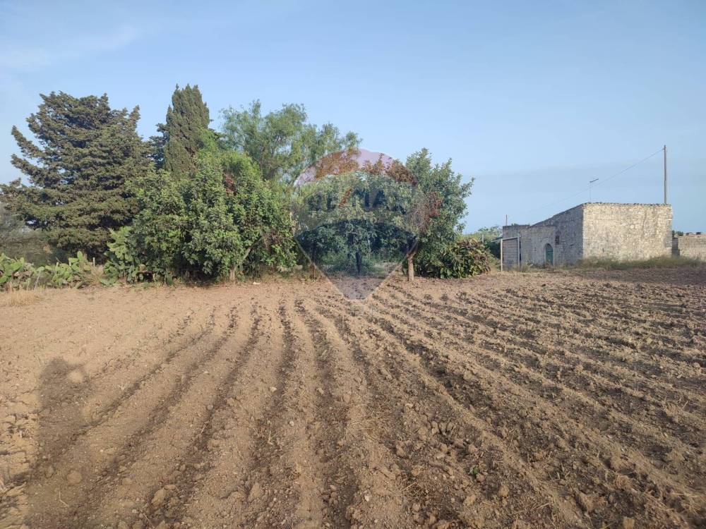 immagine annuncio 10 di 13