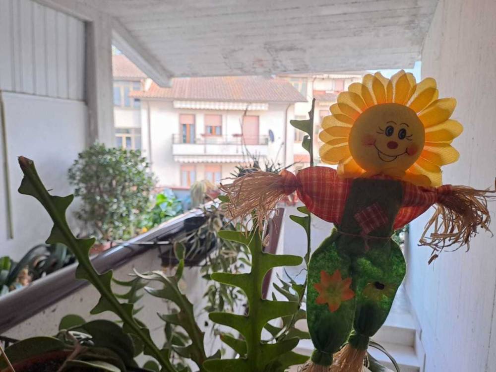 immagine annuncio 8 di 13