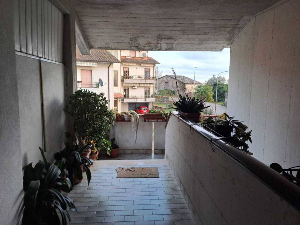 immagine annuncio 11 di 13