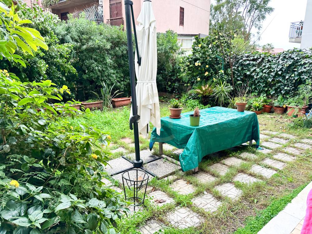 immagine annuncio 6 di 13