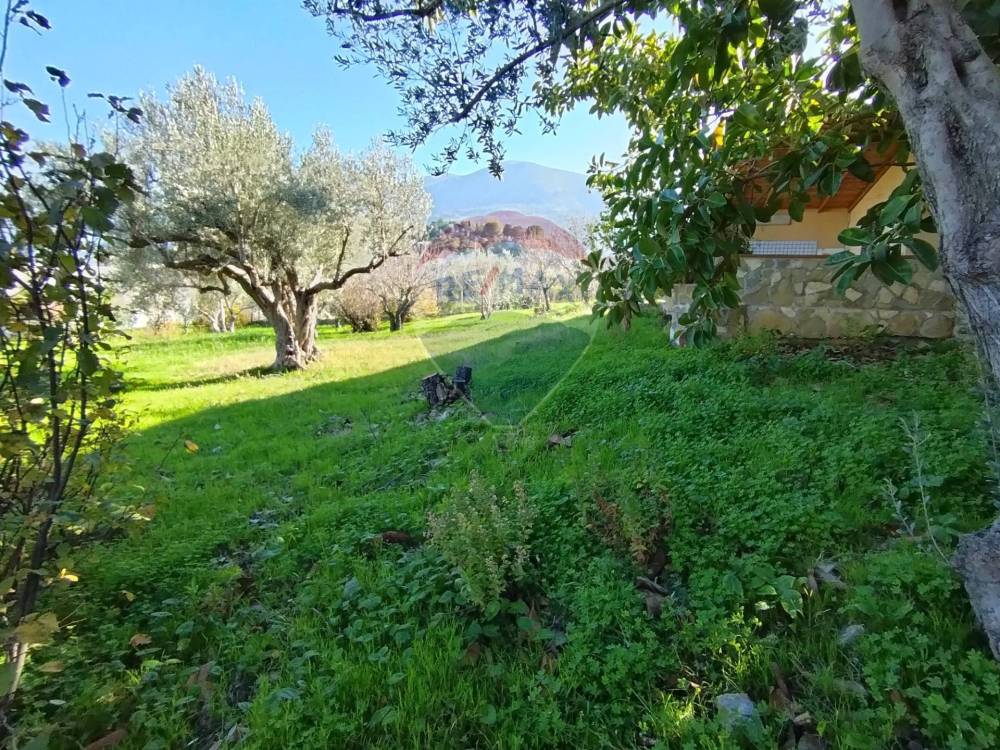 immagine annuncio 8 di 13
