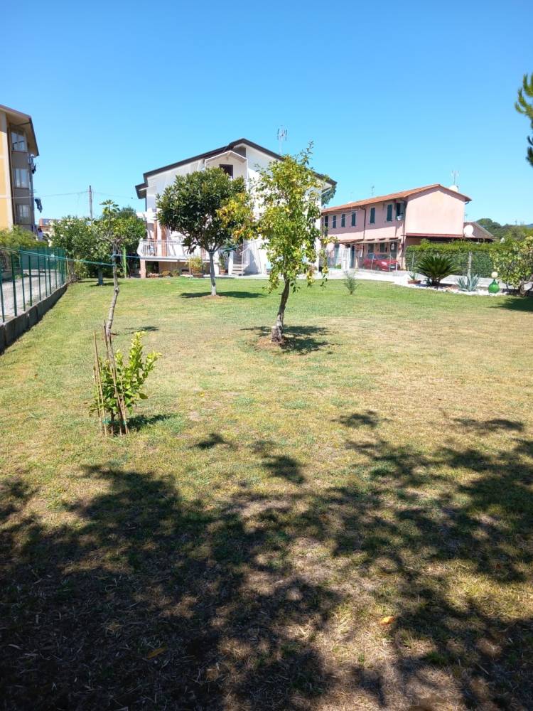 immagine annuncio 8 di 13