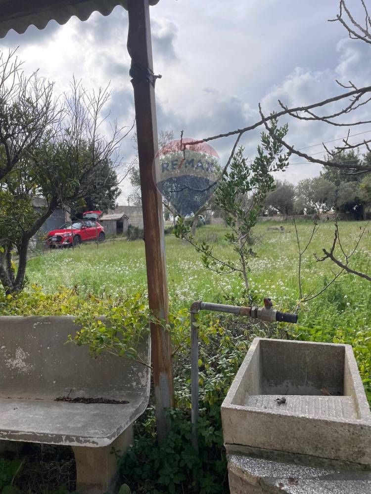 immagine annuncio 8 di 12
