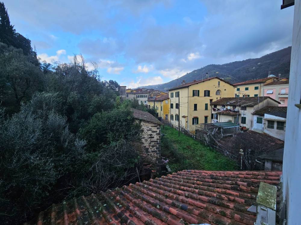 immagine annuncio 5 di 14