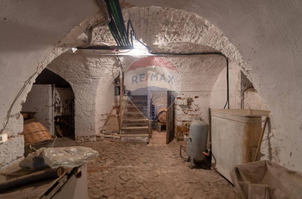 immagine annuncio 11 di 14
