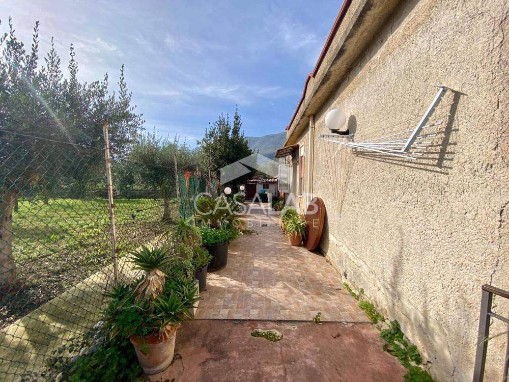 immagine annuncio 3 di 13