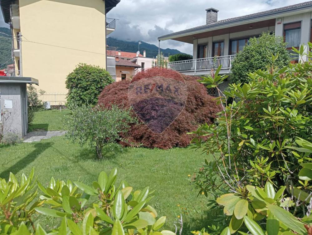 immagine annuncio 12 di 13
