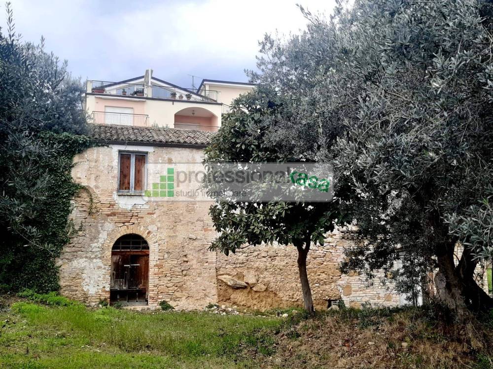 immagine annuncio 6 di 13