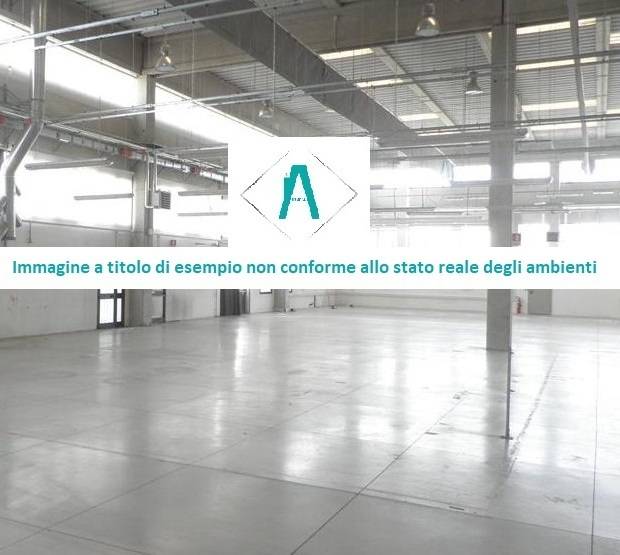 immagine annuncio 3 di 6