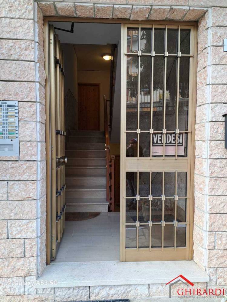 immagine annuncio 12 di 13