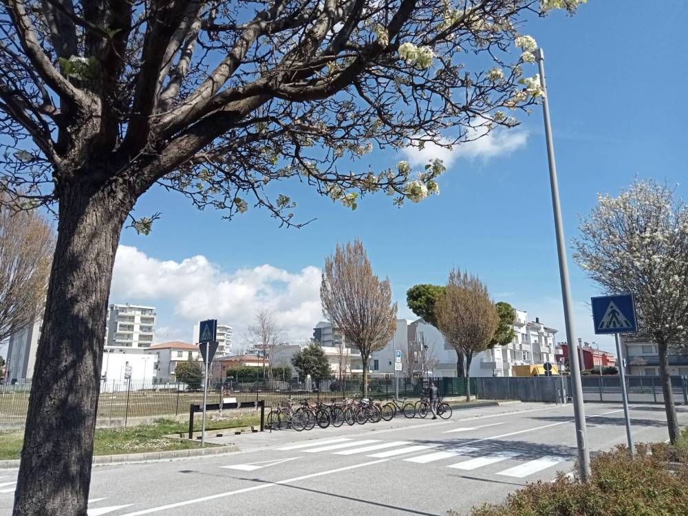 immagine annuncio 1 di 12
