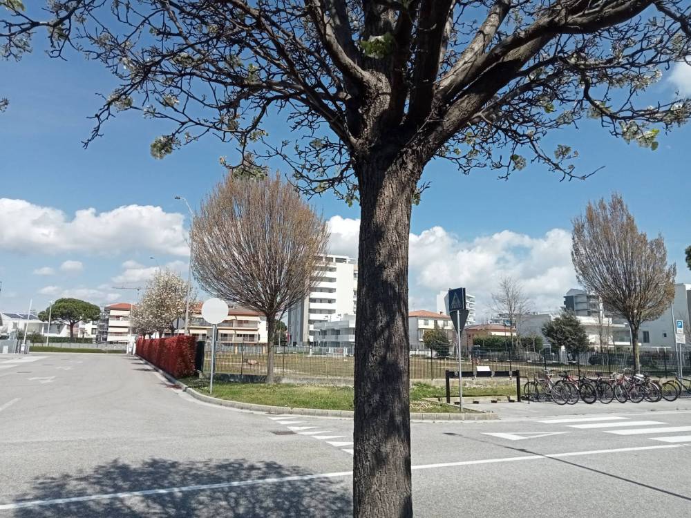 immagine annuncio 2 di 12