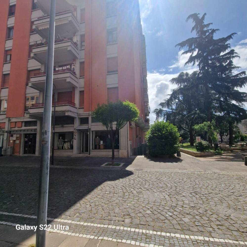 immagine annuncio 12 di 13