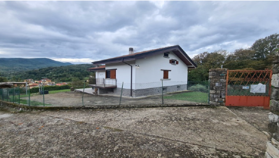immagine annuncio 5 di 13
