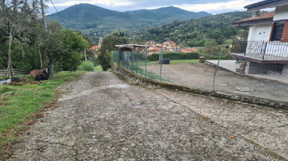 immagine annuncio 6 di 13