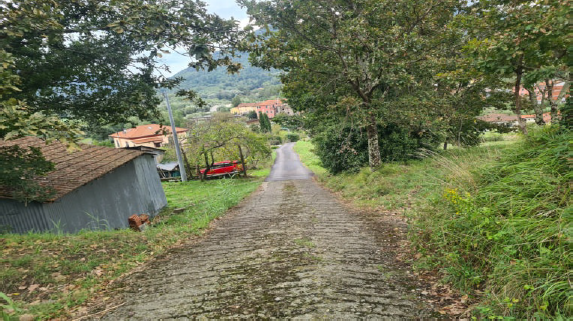 immagine annuncio 8 di 13