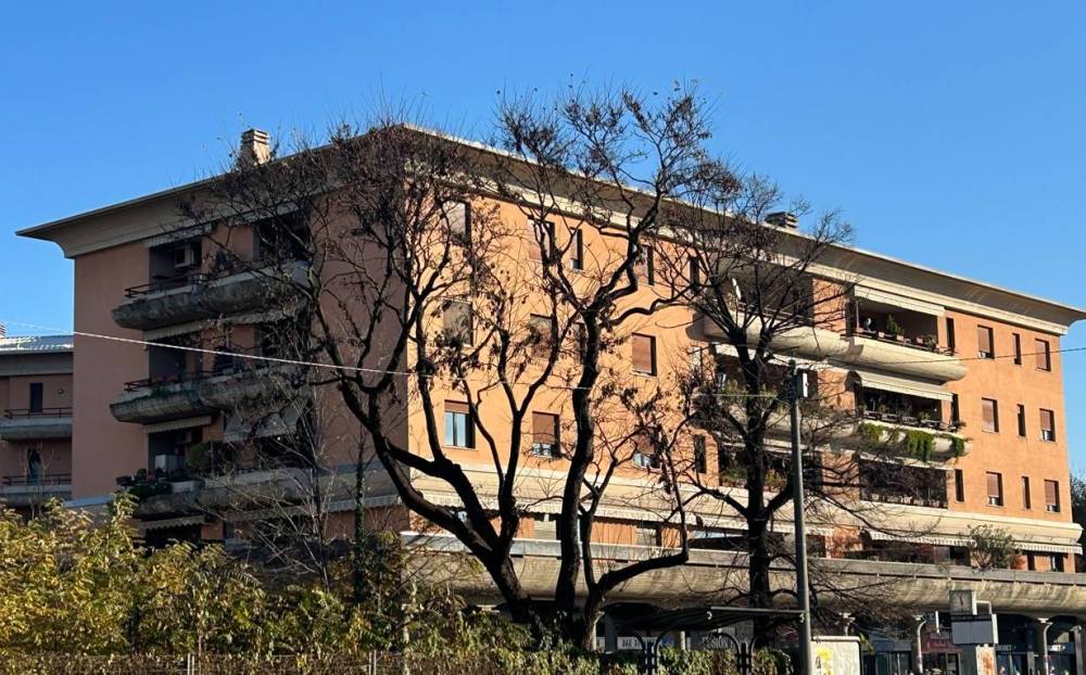 immagine annuncio 5 di 13