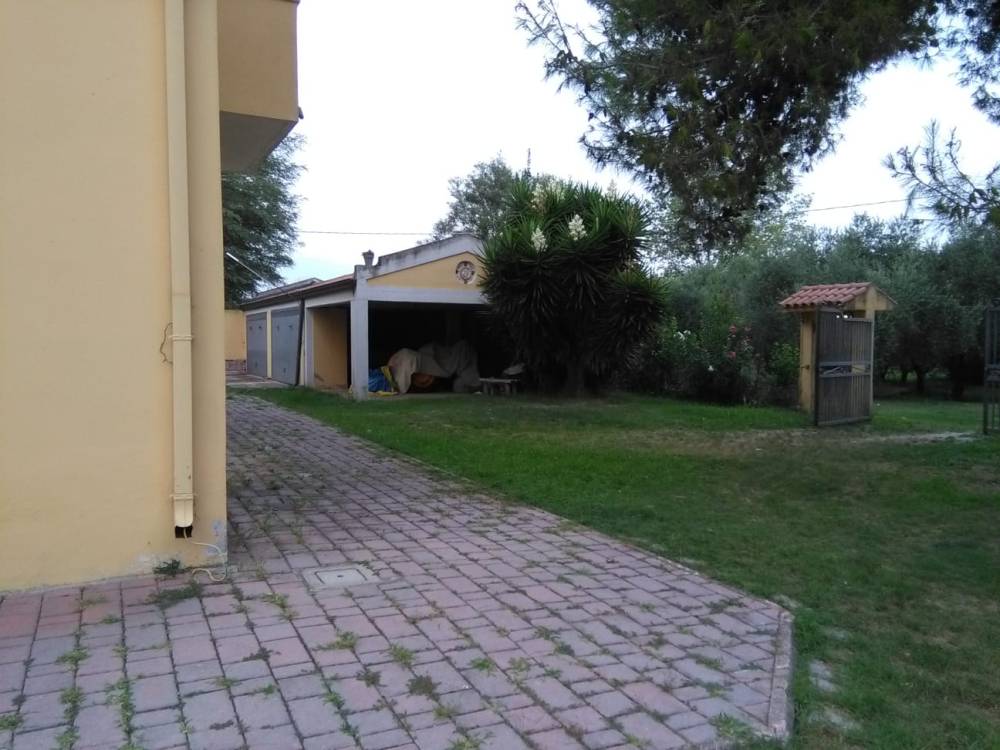 immagine annuncio 6 di 13