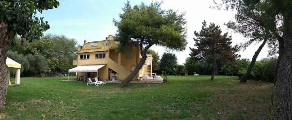 immagine annuncio 3 di 13