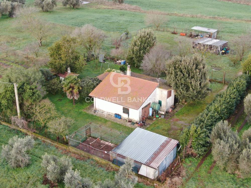 immagine annuncio 2 di 13