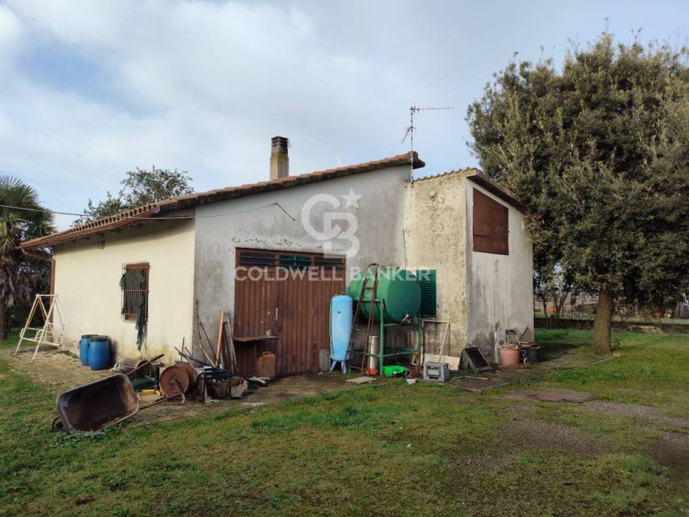immagine annuncio 10 di 13
