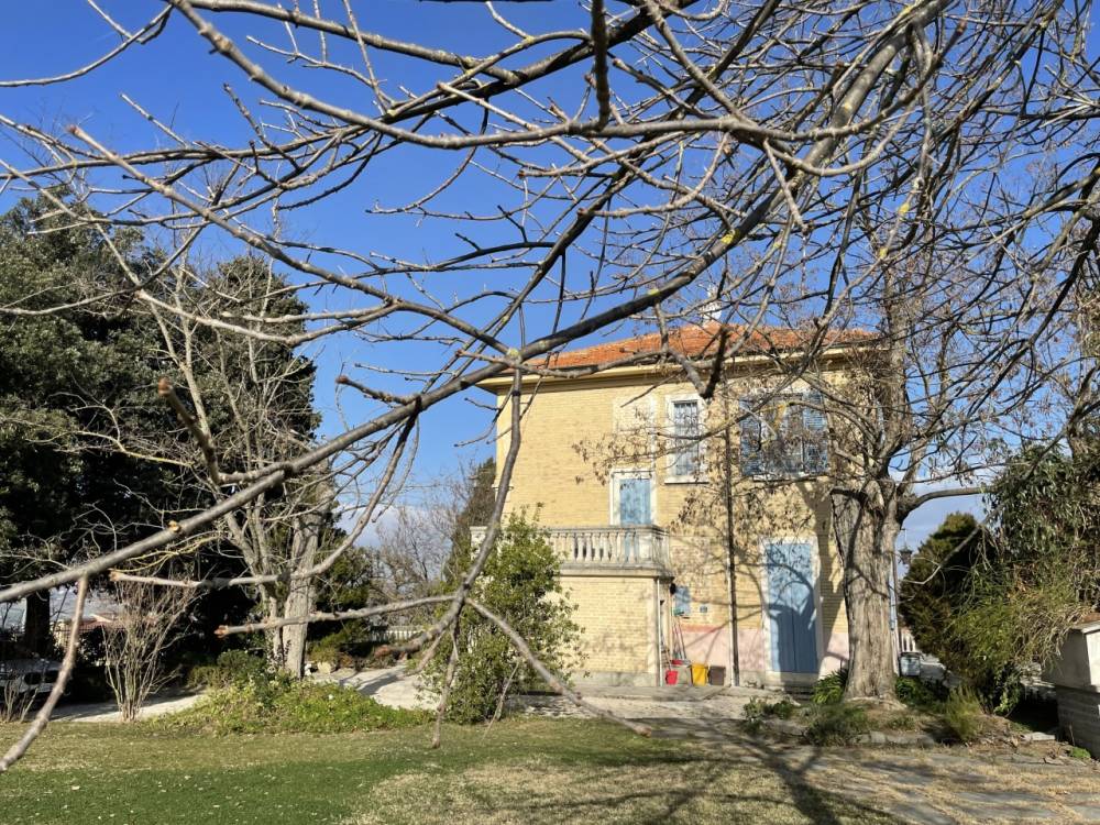 immagine annuncio 8 di 13