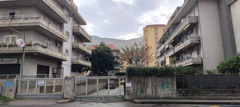 immagine annuncio 3 di 12