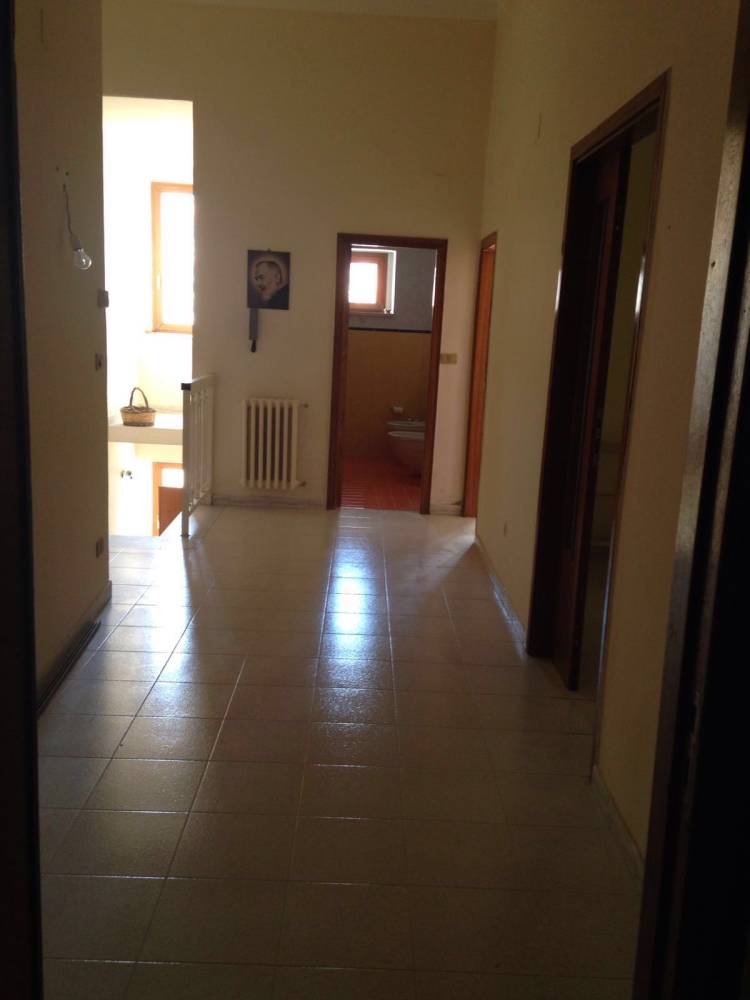 immagine annuncio 4 di 8