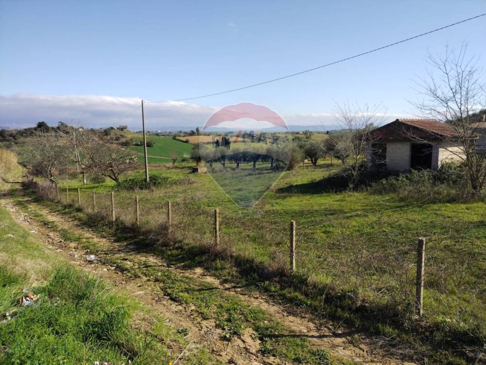 immagine annuncio 10 di 13