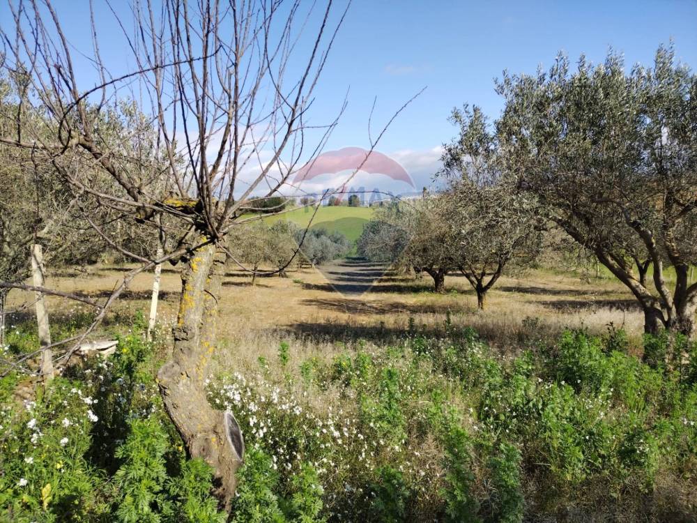 immagine annuncio 8 di 13