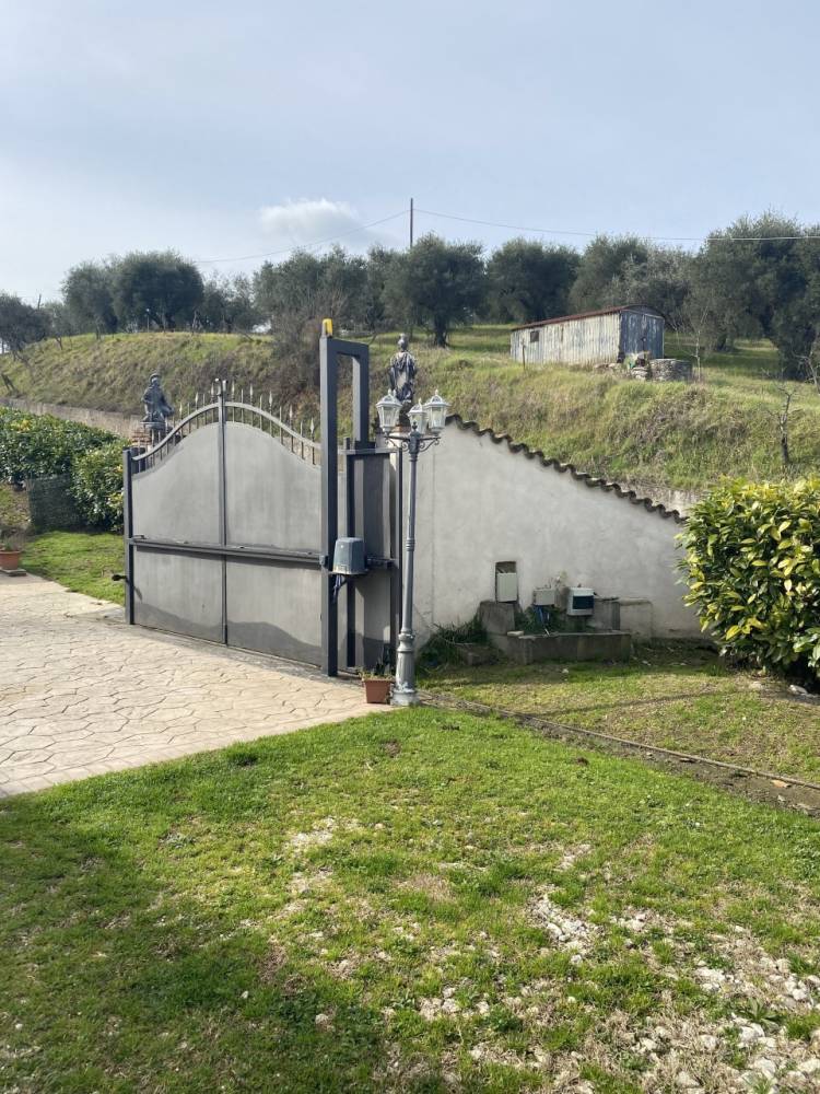 immagine annuncio 7 di 13