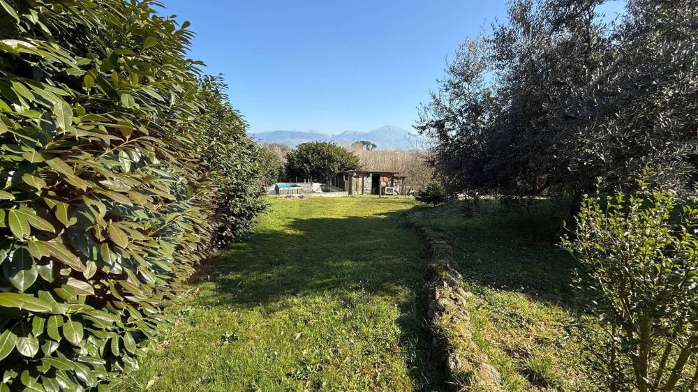 immagine annuncio 4 di 13