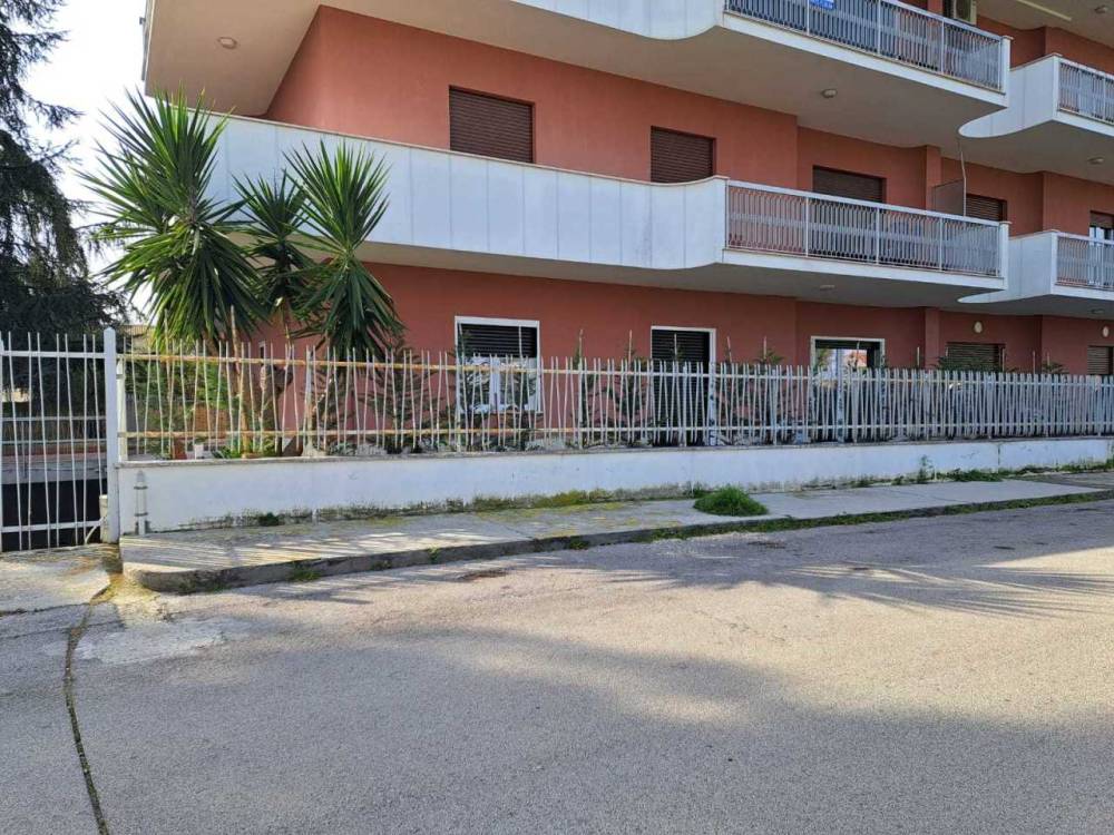 immagine annuncio 13 di 14