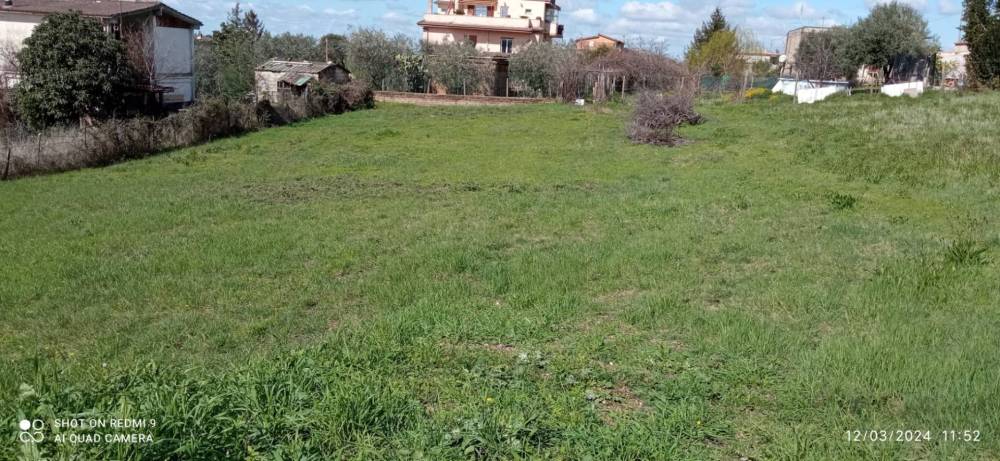 immagine annuncio 3 di 6