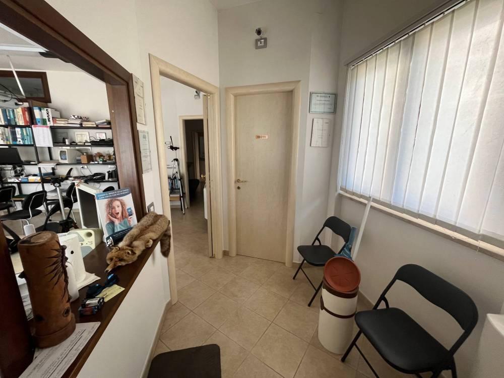 immagine annuncio 1 di 13