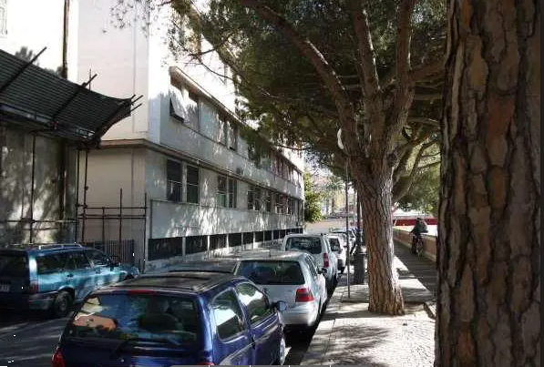 immagine annuncio 11 di 13