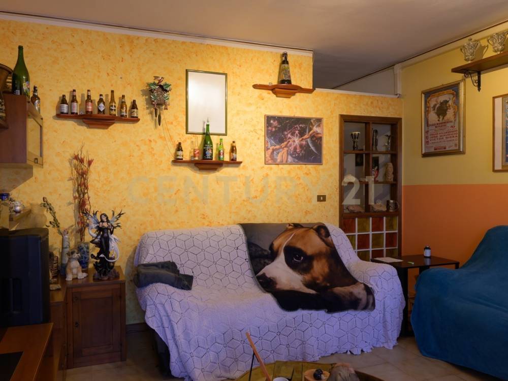 immagine annuncio 3 di 14