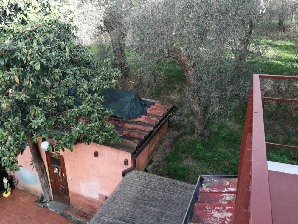 immagine annuncio 7 di 13