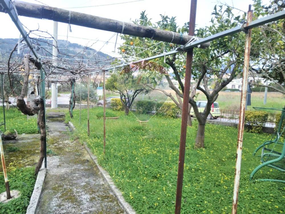 immagine annuncio 6 di 13