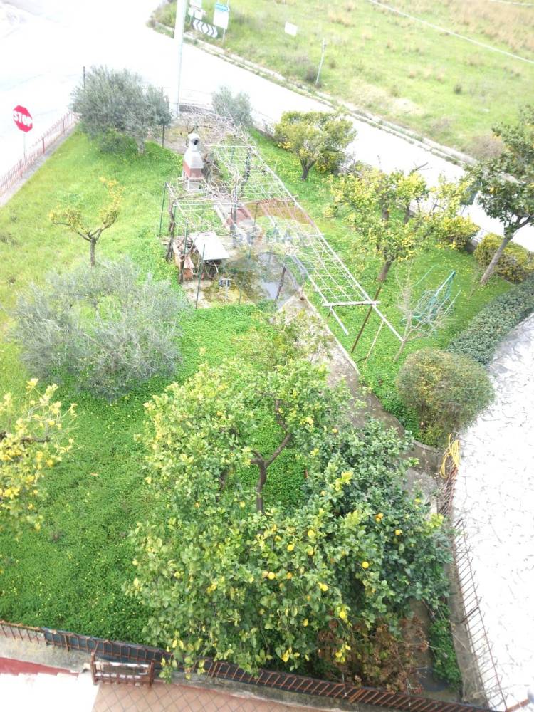 immagine annuncio 4 di 13