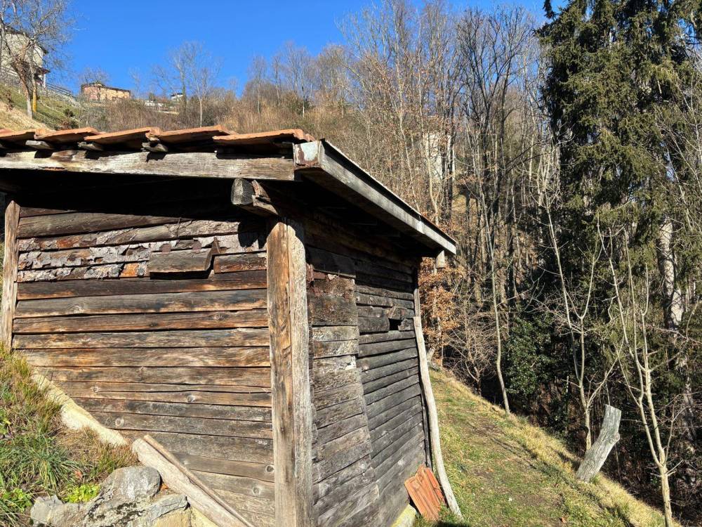 immagine annuncio 9 di 13