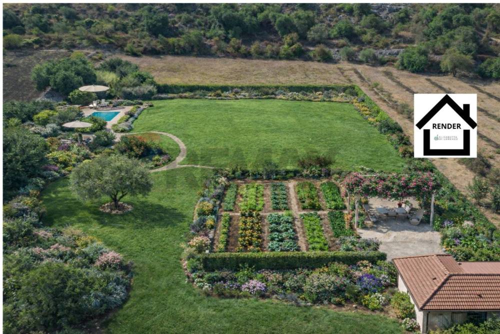 immagine annuncio 11 di 14