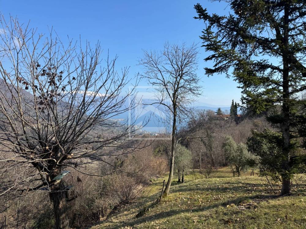 immagine annuncio 4 di 13