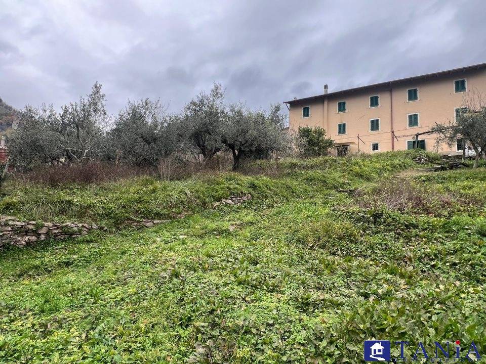 immagine annuncio 5 di 9