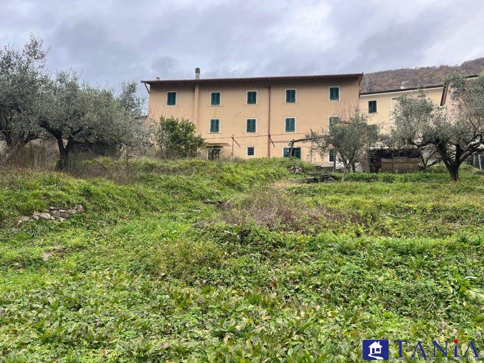 immagine annuncio 3 di 9